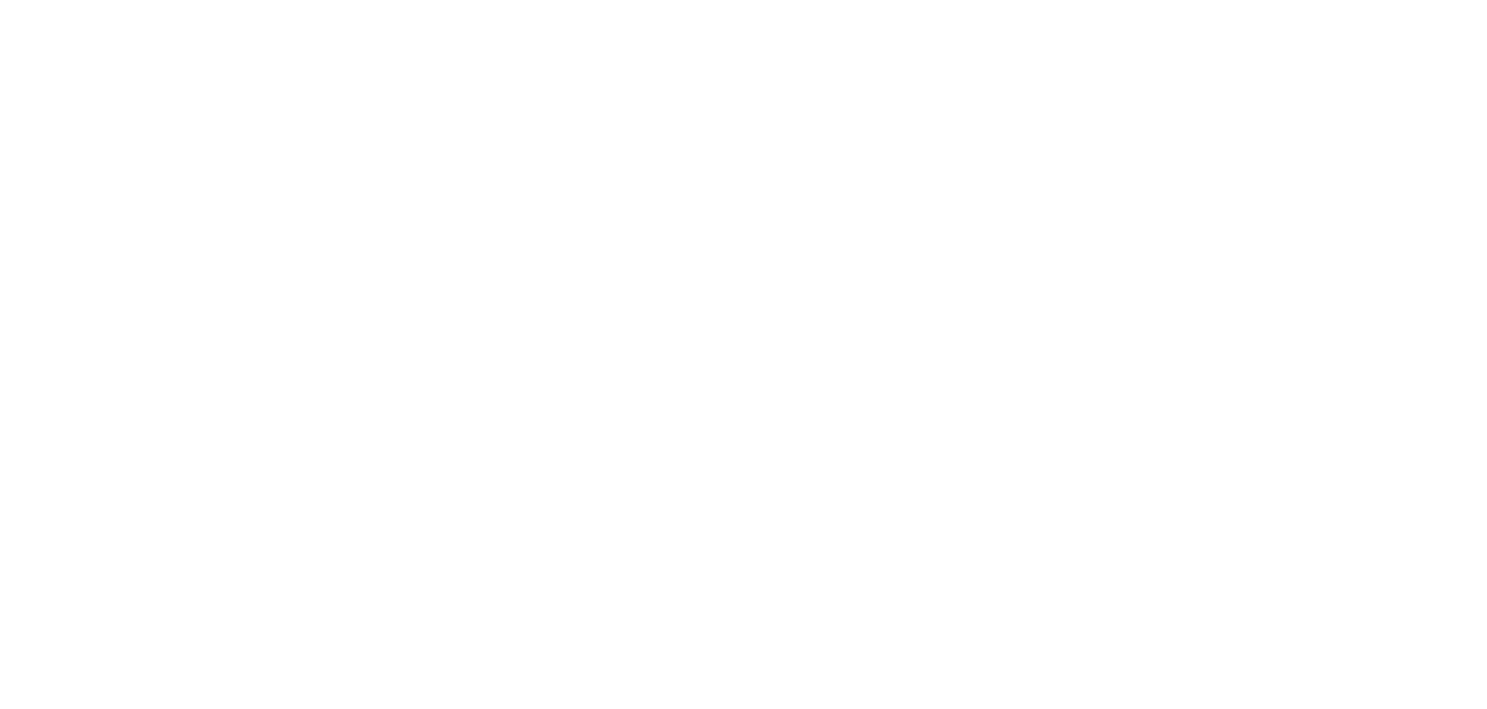 Ninetro Enterprise